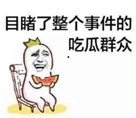 挑大粪吃瓜搞笑视频,吃瓜群众变身搞笑达人