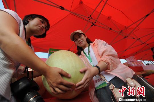 慈禧吃三白瓜