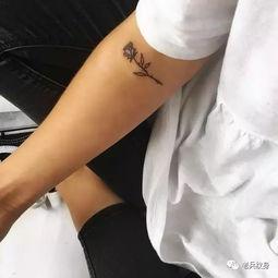 吃瓜最新纹身头像,吃瓜少女的个性宣言