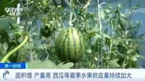 含浦吃瓜群众,揭秘社区热点事件背后的真相