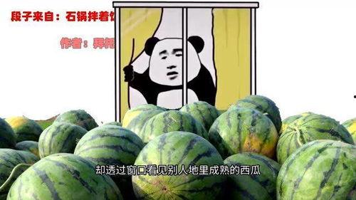 吃瓜二表哥
